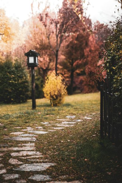 pexels-ali-berke-gul-64704539-30409901