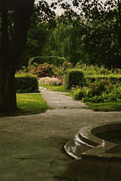 pexels-katerynahnidash-17669154