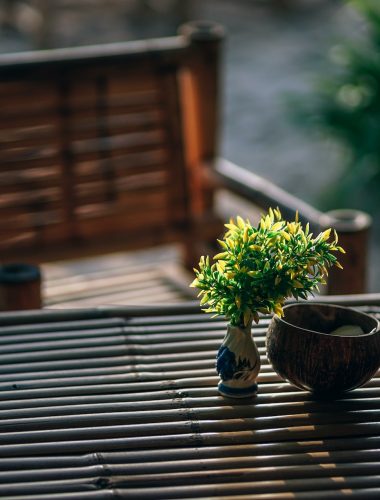 pexels-nipananlifestylecom-1424464